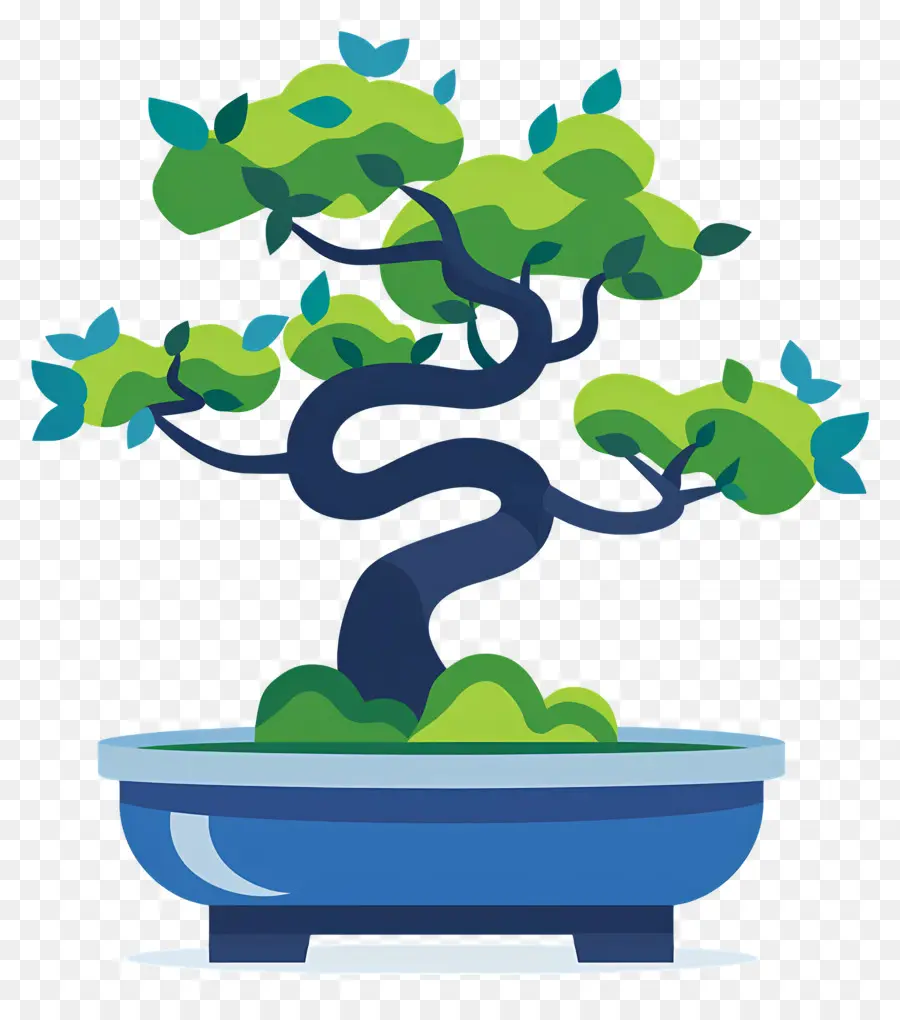 árvore Bonsai，Árvore Bonsai PNG