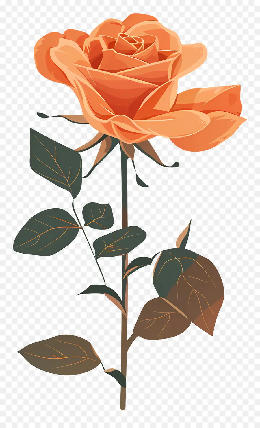 Rosa Solteira，Rosa PNG