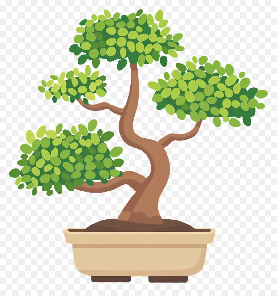 árvore Bonsai，Árvore Bonsai PNG