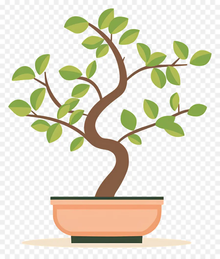 árvore Bonsai，Árvore Bonsai PNG