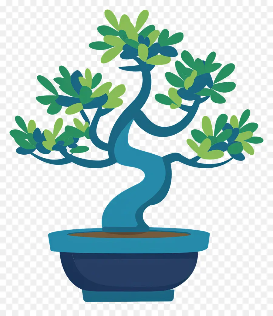 árvore Bonsai，Árvore Bonsai PNG