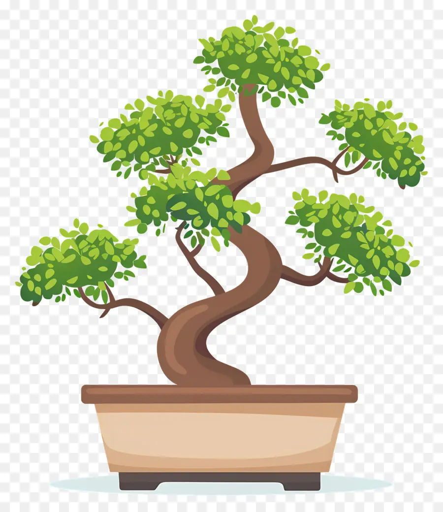 árvore Bonsai，Árvore Bonsai PNG