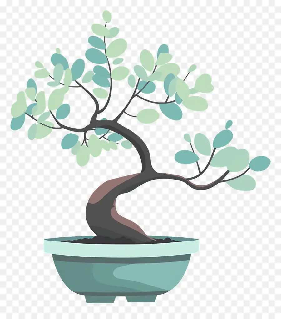 árvore Bonsai，Árvore Bonsai PNG