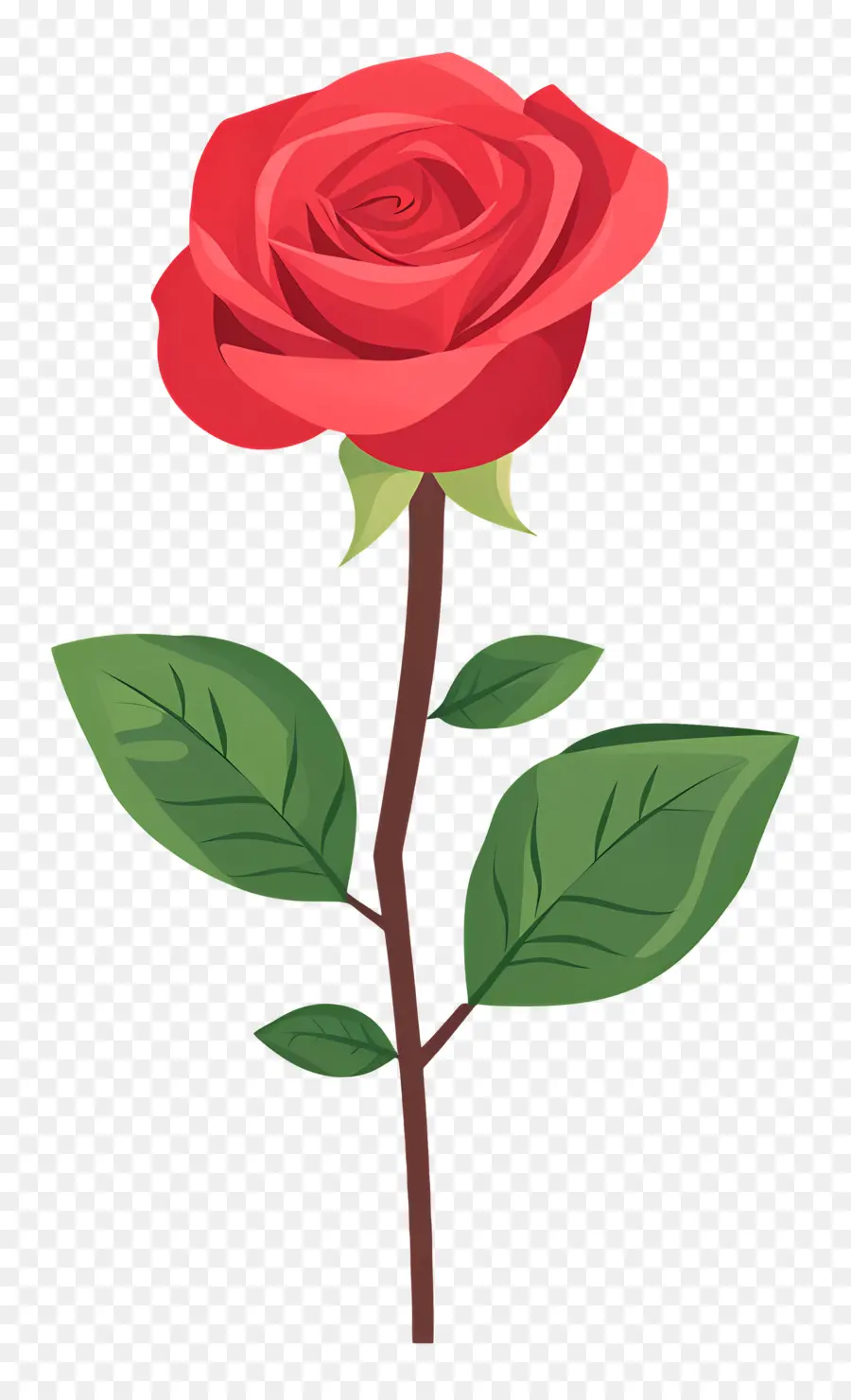 Rosa Solteira，Rosa Vermelha PNG