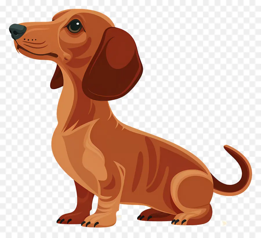 Cachorro Animado，Cachorro Marrom PNG