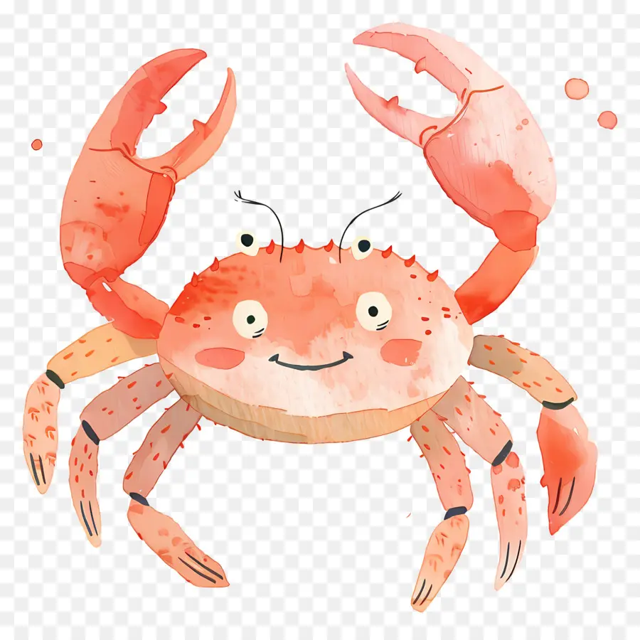 Caranguejo Aquarela，Caranguejo De Desenho Animado PNG