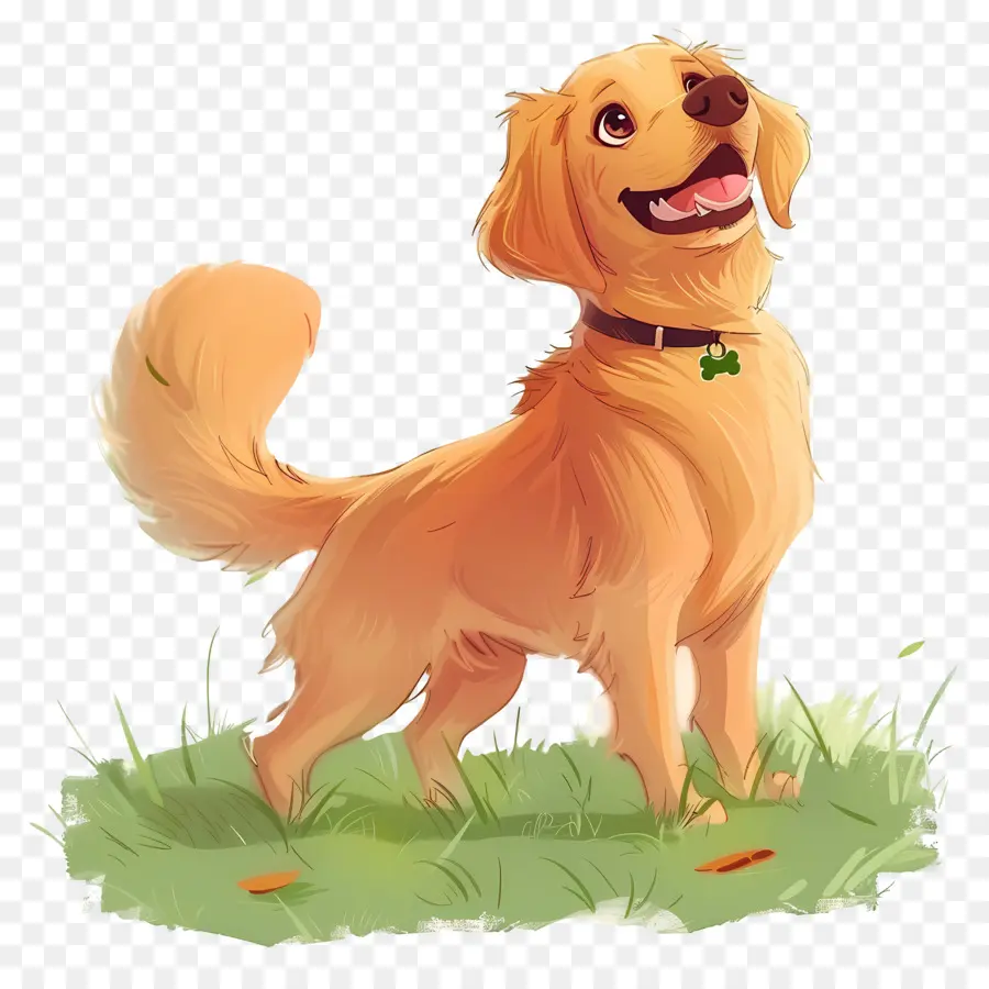 Cão Golden Retriever，Golden Retriever PNG