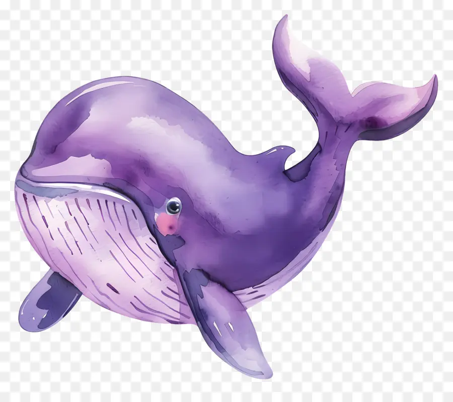 Baleia Aquarela，Baleia De Desenho Animado PNG