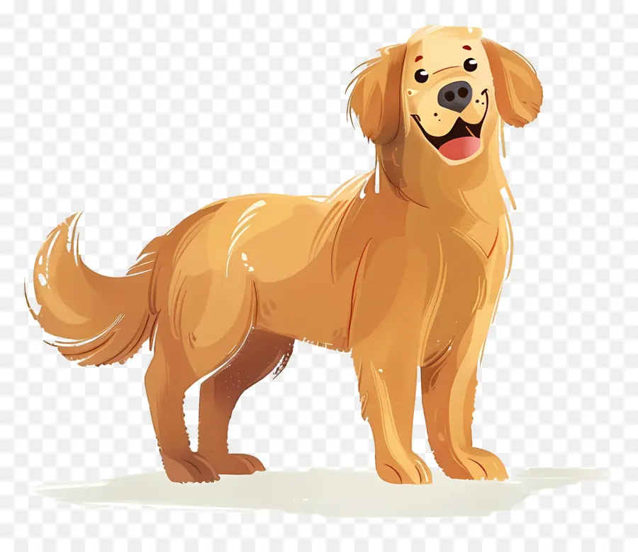 Cão Golden Retriever，Golden Retriever PNG