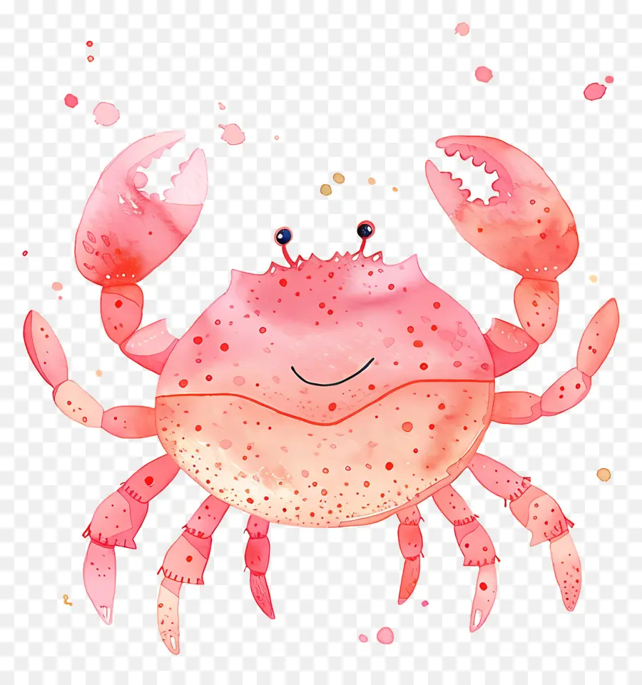 Caranguejo Aquarela，Caranguejo De Desenho Animado PNG