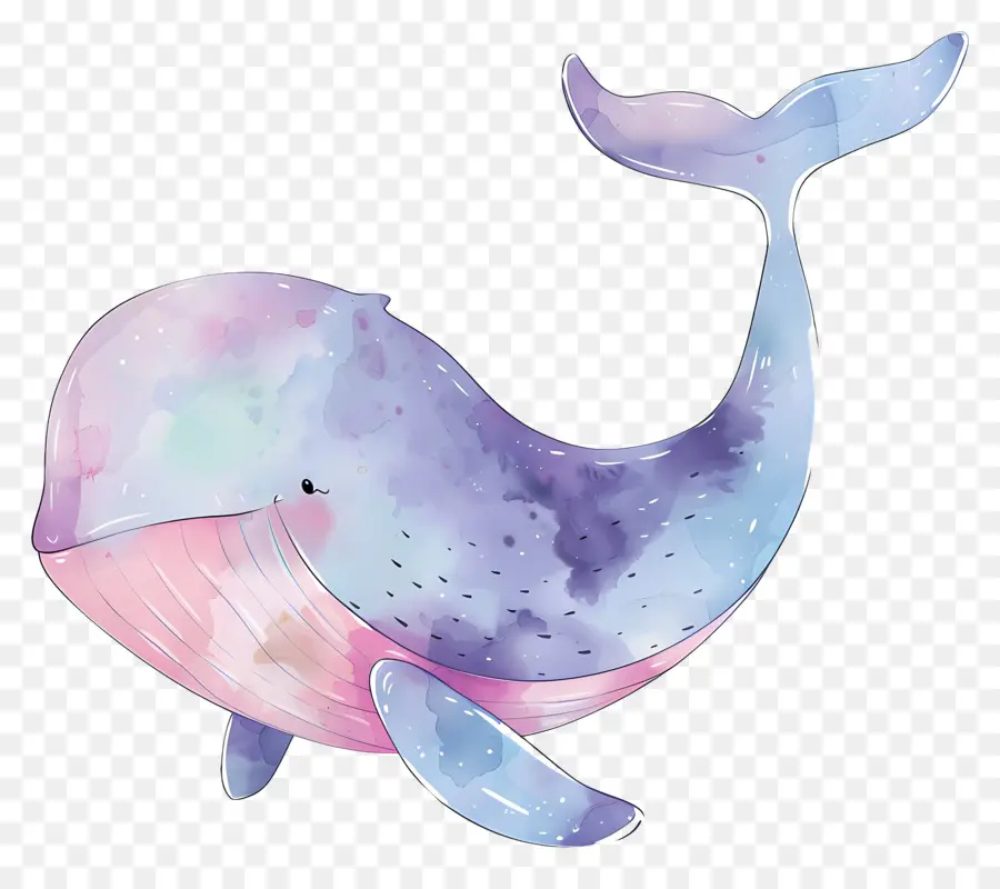 Baleia Aquarela，Baleia PNG