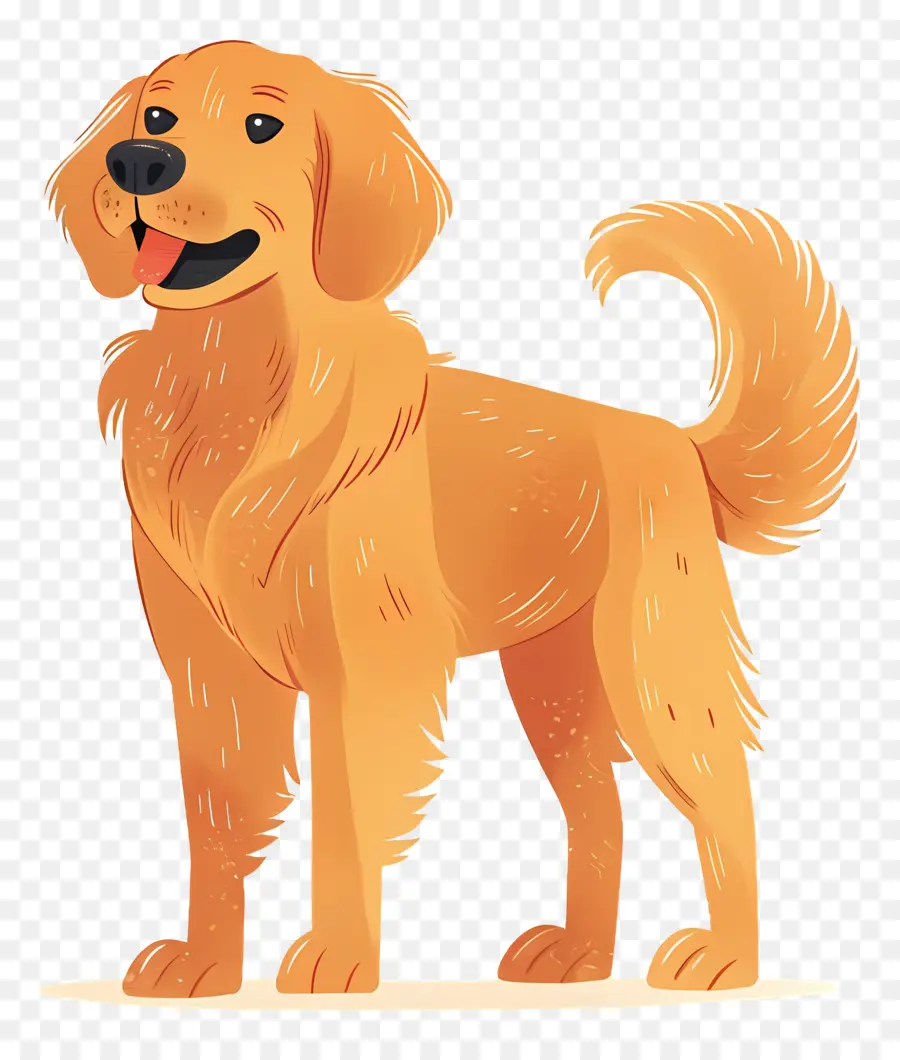 Cão Golden Retriever，Cachorro De Desenho Animado PNG