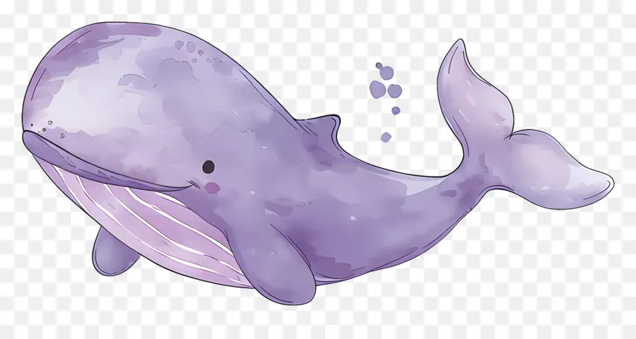 Baleia Aquarela，Baleia PNG