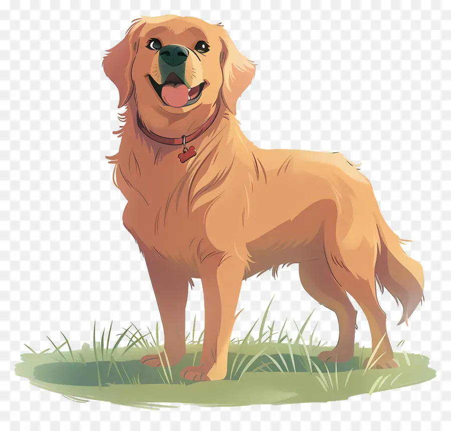 Cão Golden Retriever，Golden Retriever PNG