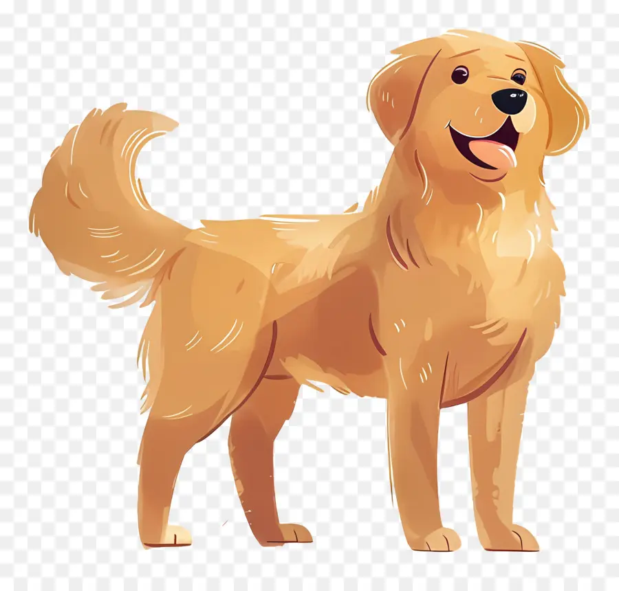 Cão Golden Retriever，Golden Retriever PNG