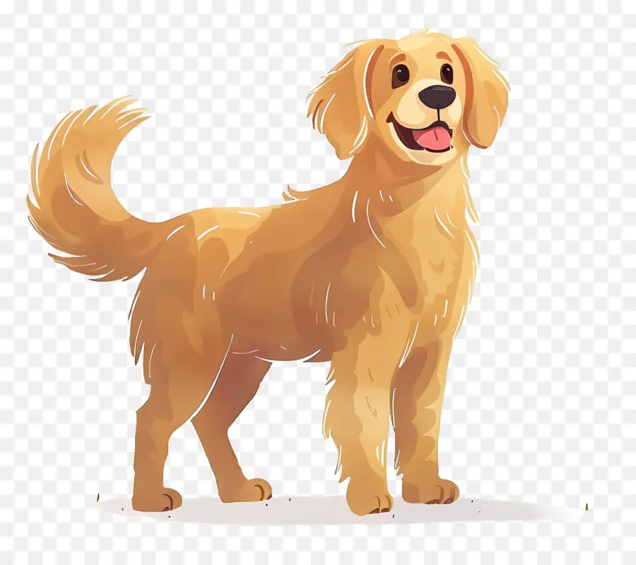 Cão Golden Retriever，Golden Retriever PNG