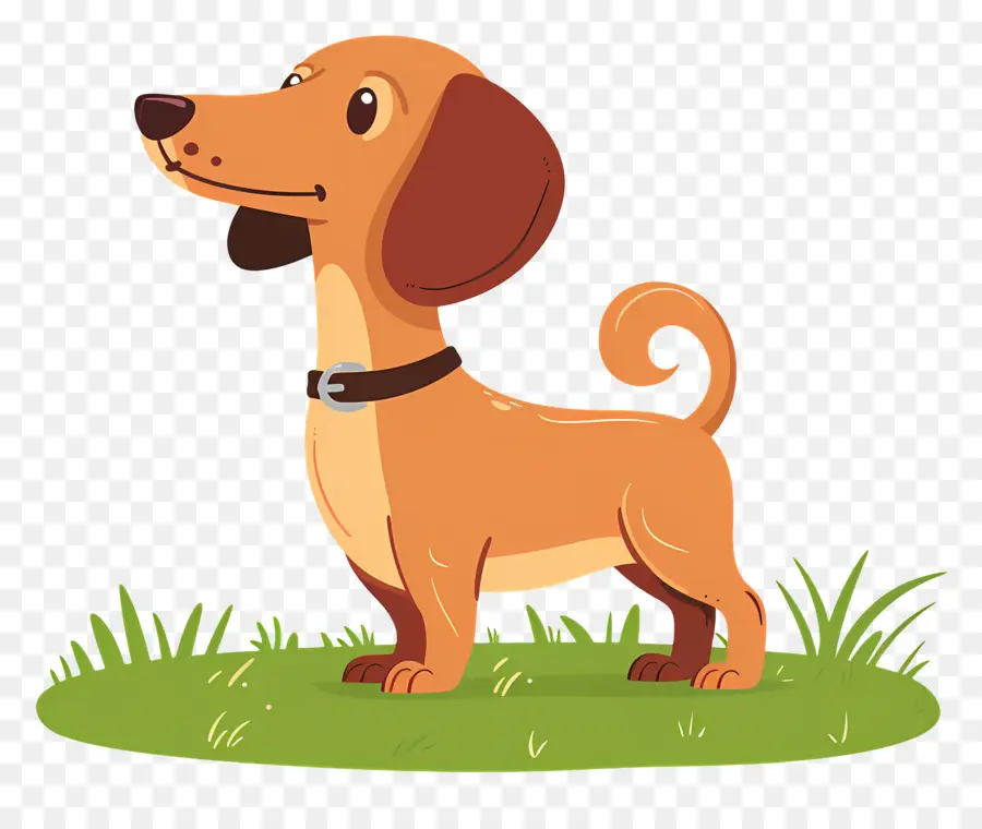 Cachorro Animado，Cachorro Marrom PNG