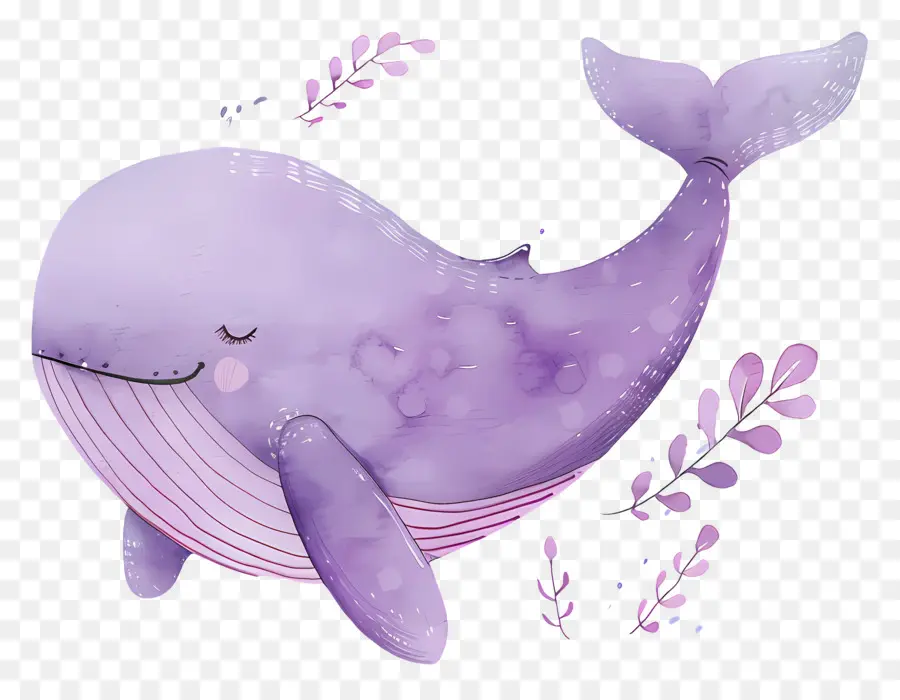 Baleia Aquarela，Baleia De Desenho Animado PNG