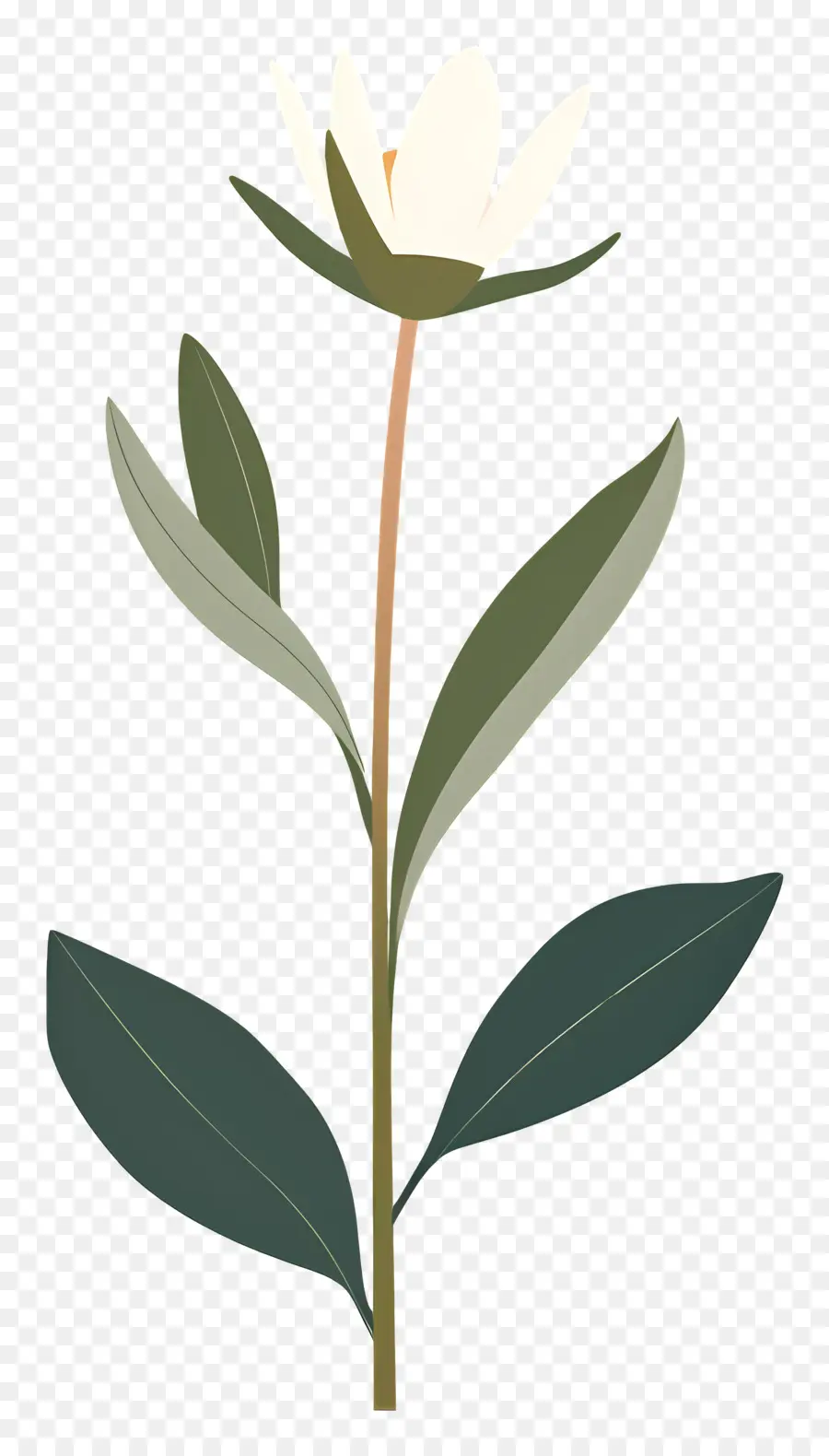 Flor única，Flor Branca PNG