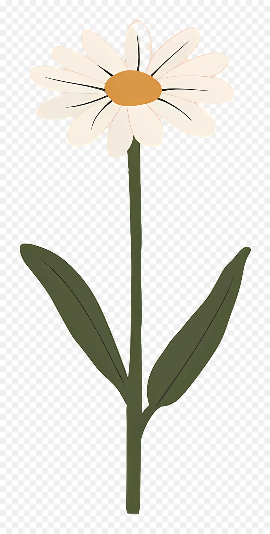 Flor única，Margarida Simples PNG