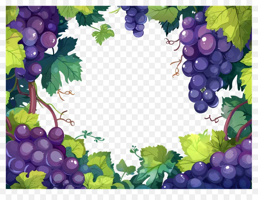 Borda De Uva，Uvas PNG