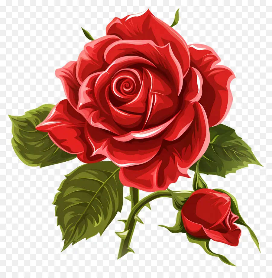 Rosa Vermelha，Folhas PNG