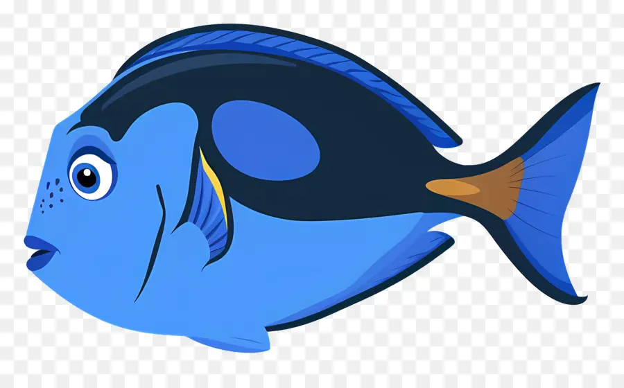 Peixe Azul，Peixe Colorido PNG