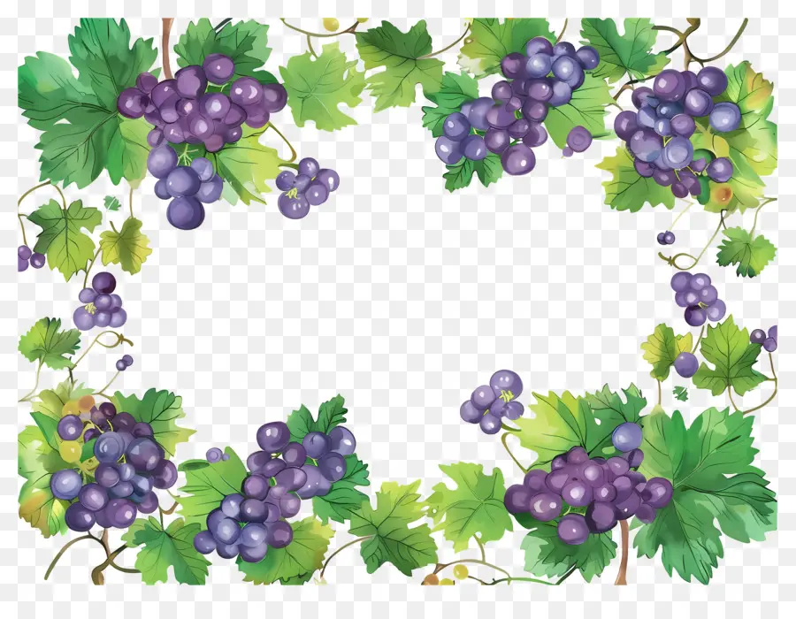 Borda De Uva，Uvas PNG