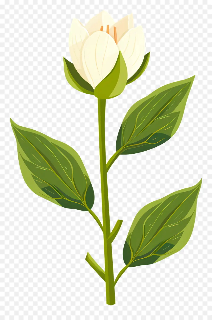 Flor única，Flor Branca PNG