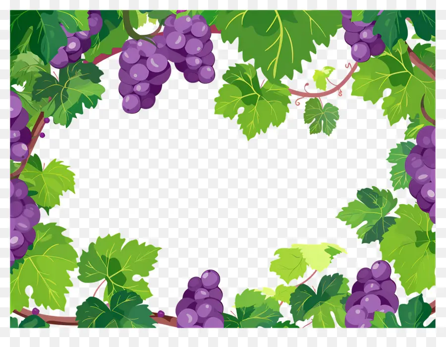 Borda De Uva，Uvas PNG