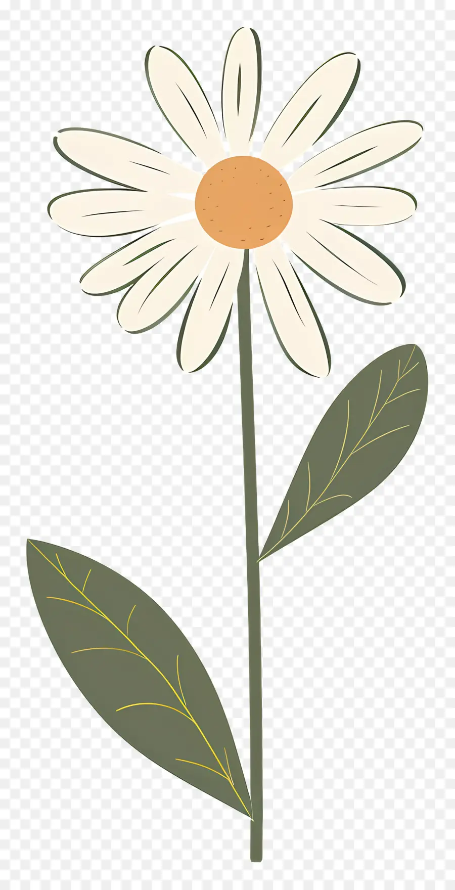 Flor única，Margarida Simples PNG