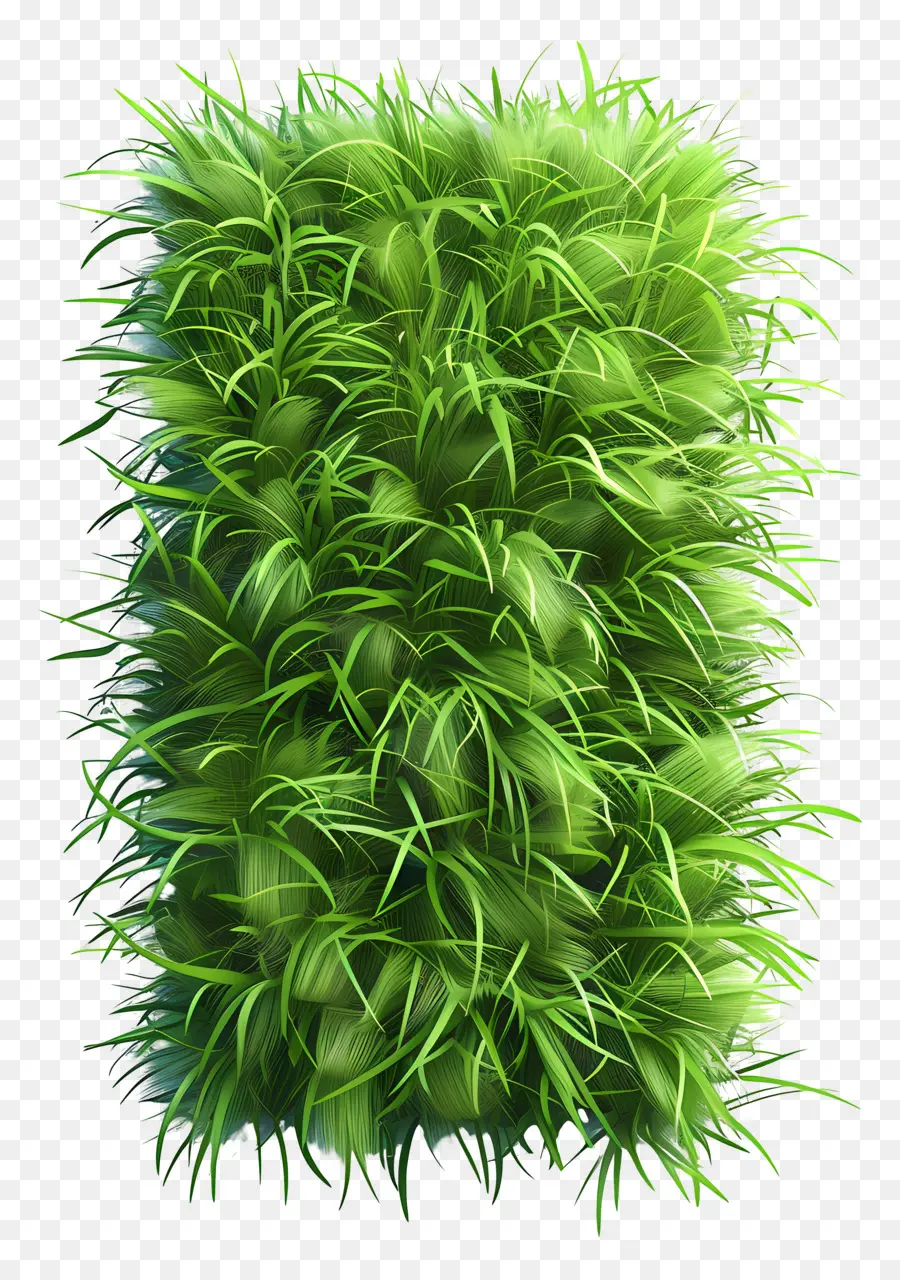 Planta De Grama，Grama Verde PNG