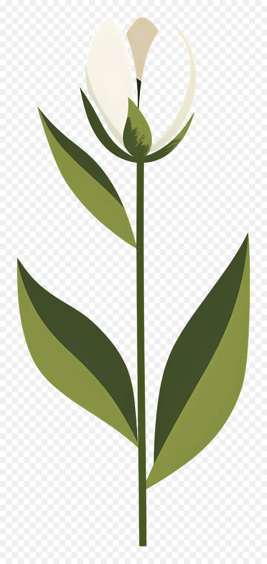 Flor única，Flor Branca PNG