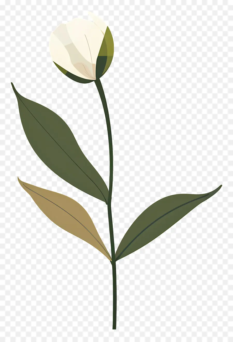 Flor única，Flor Branca PNG