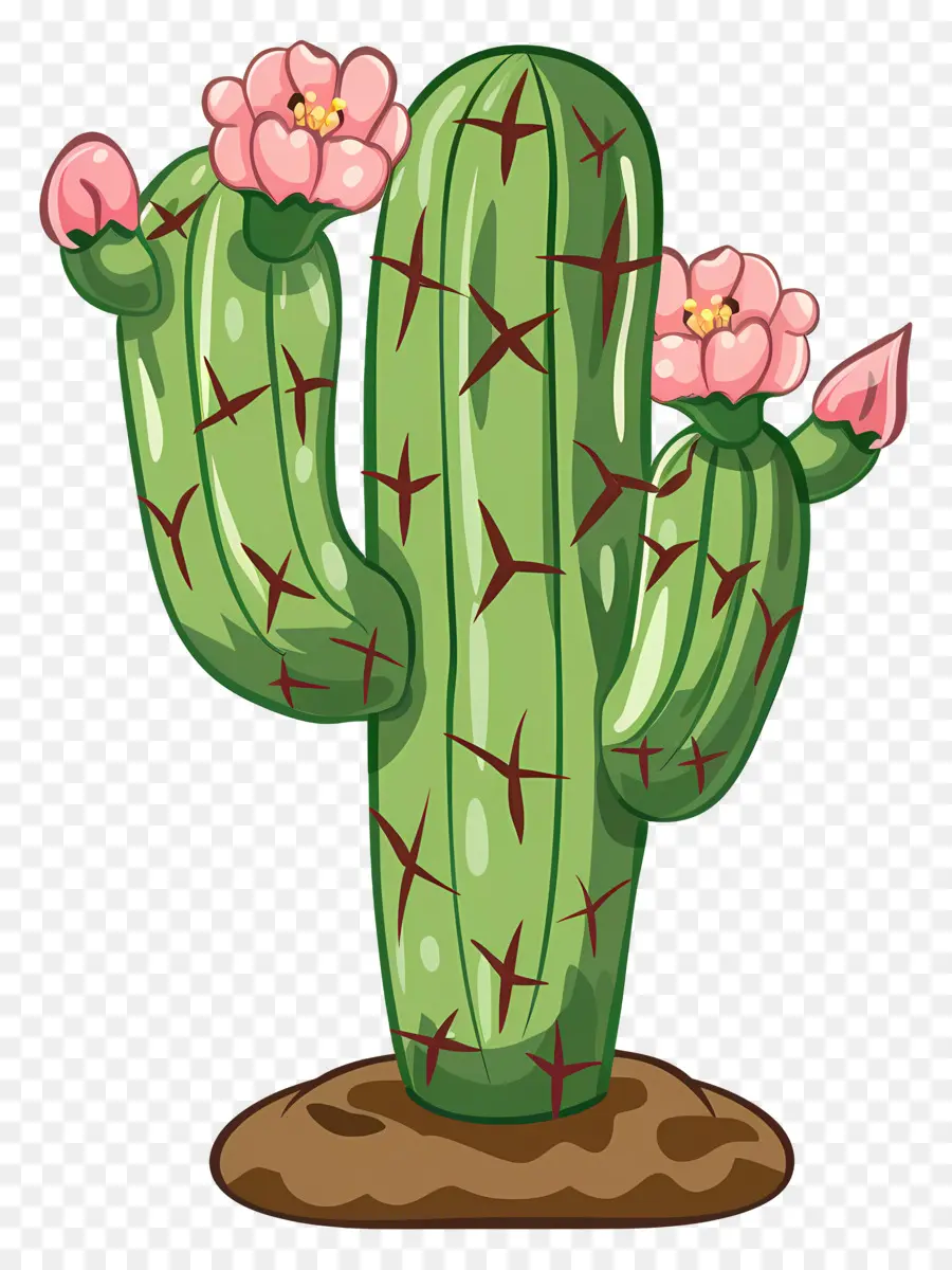 Cacto Verde，Cacto Com Flores PNG