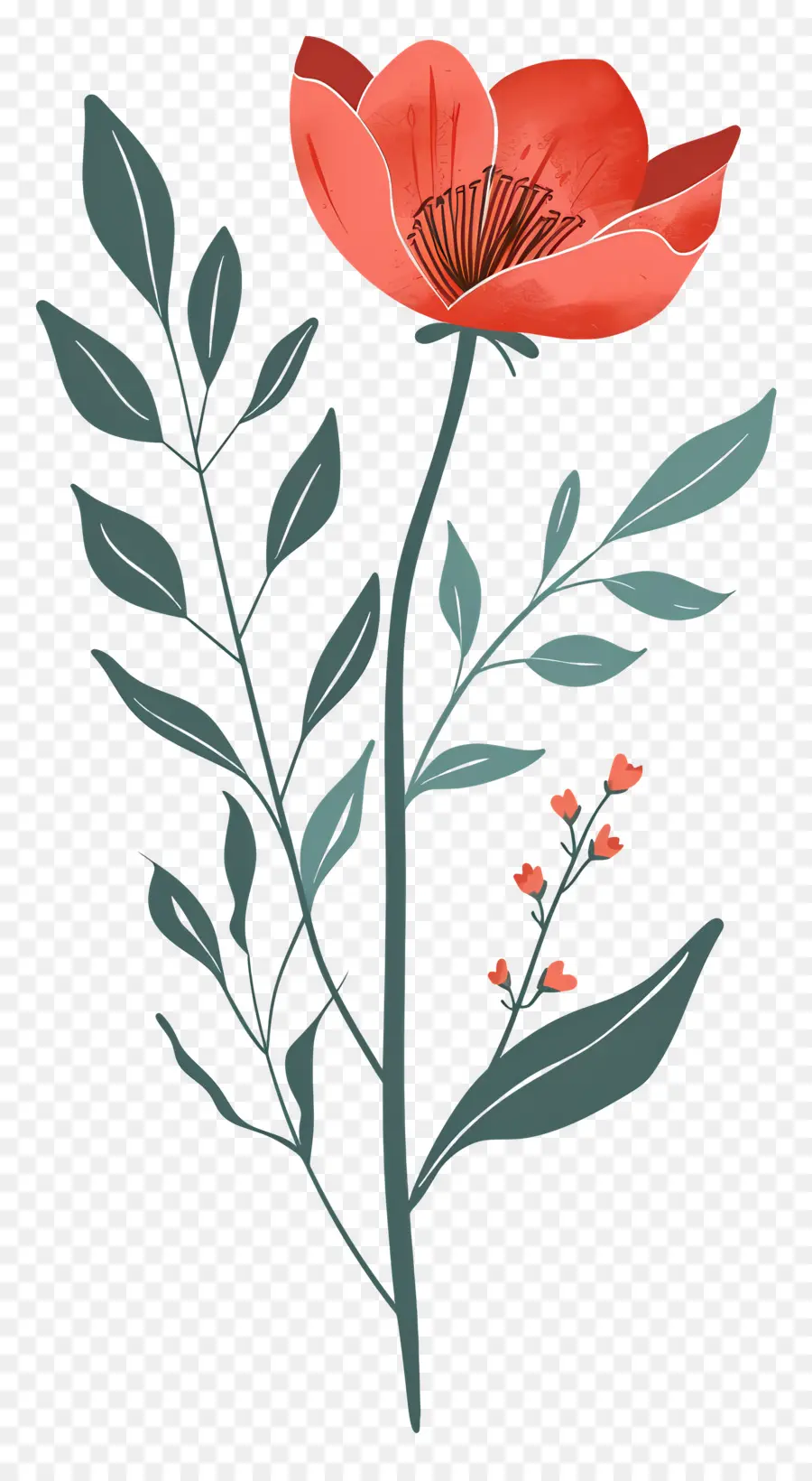 Flor única，Flor Vermelha PNG