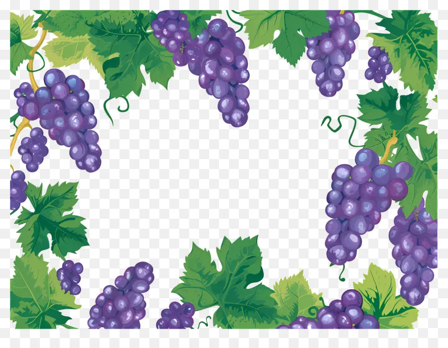 Borda De Uva，Uvas PNG