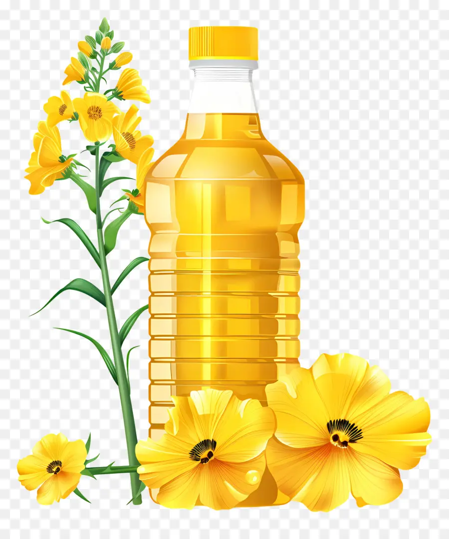 óleo De Canola，Garrafa De óleo PNG