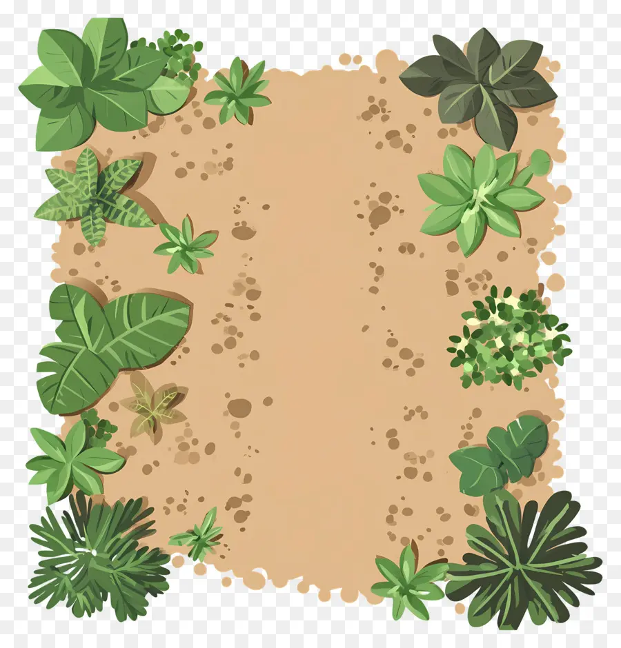 Caminho De Terra，Plantas Verdes PNG