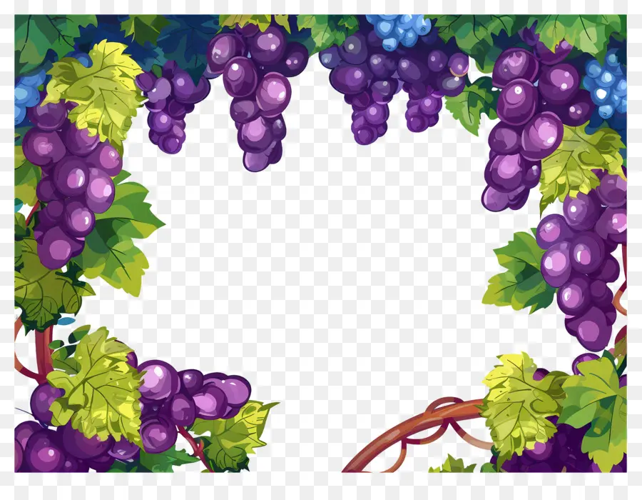 Borda De Uva，Uvas PNG