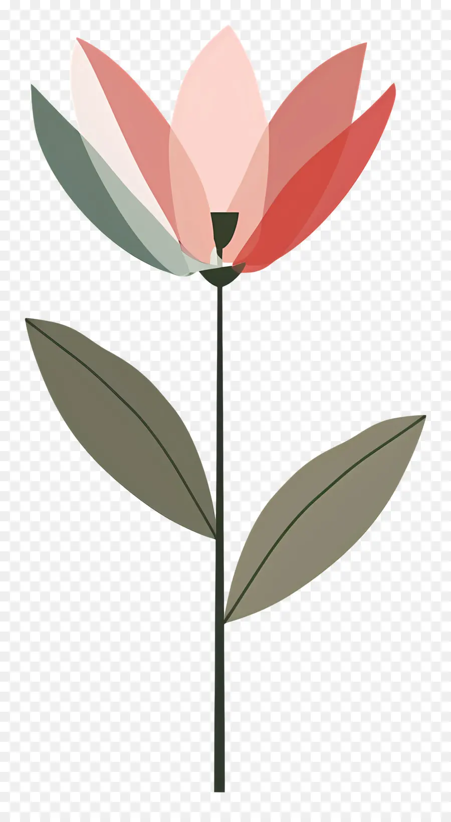 Flor única，Flor Colorida PNG