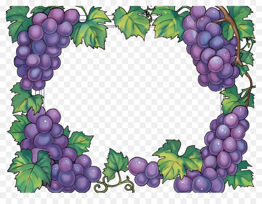 Borda De Uva，Uvas PNG