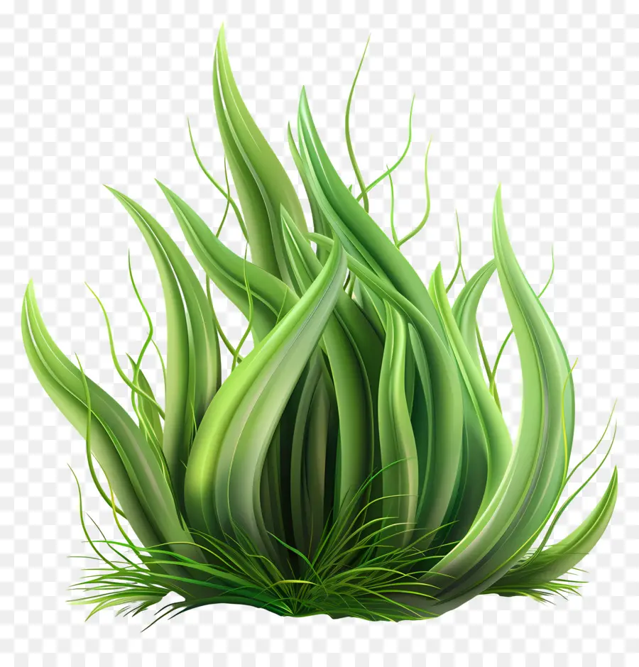 Planta De Grama，Grama Verde PNG