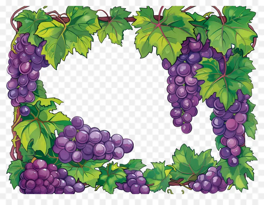 Borda De Uva，Uvas PNG