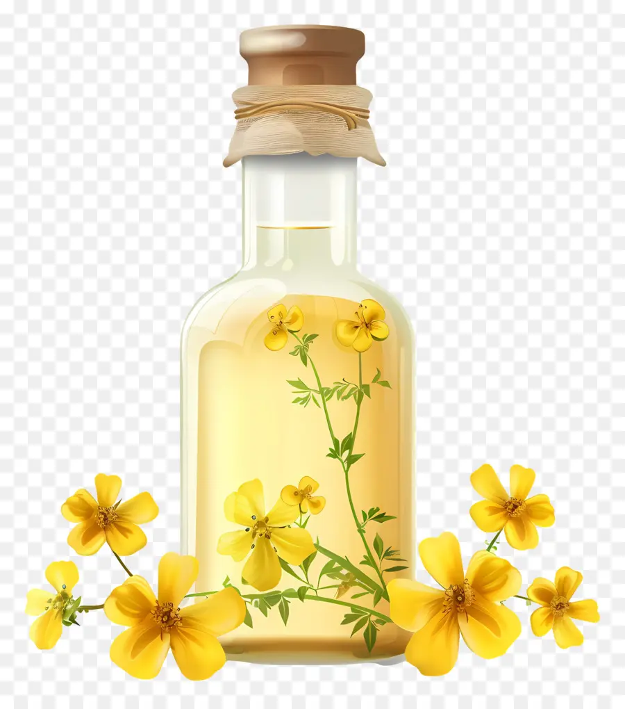 óleo De Canola，Óleo De Ervas PNG