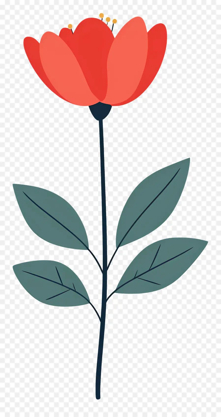 Flor única，Flor De Papoula Vermelha PNG