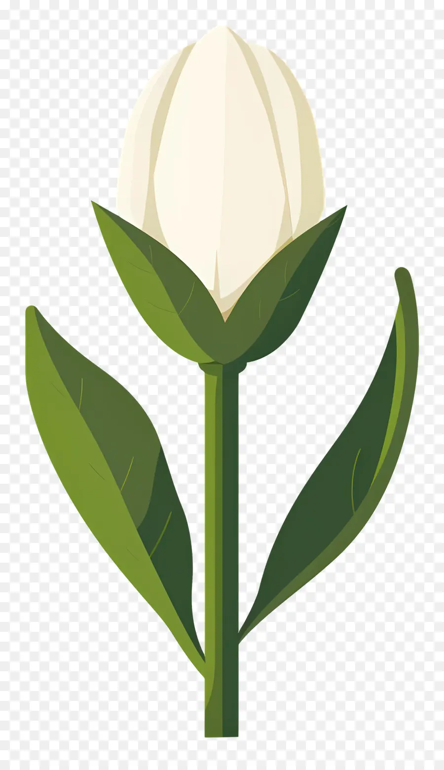 Flor única，Tulipa Branca PNG