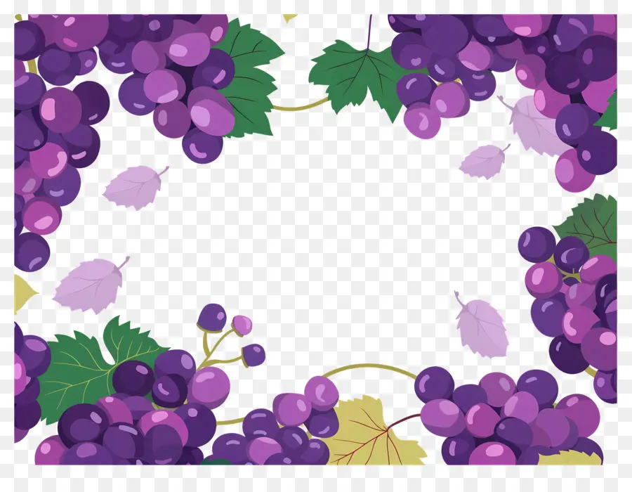 Borda De Uva，Quadro De Uvas PNG