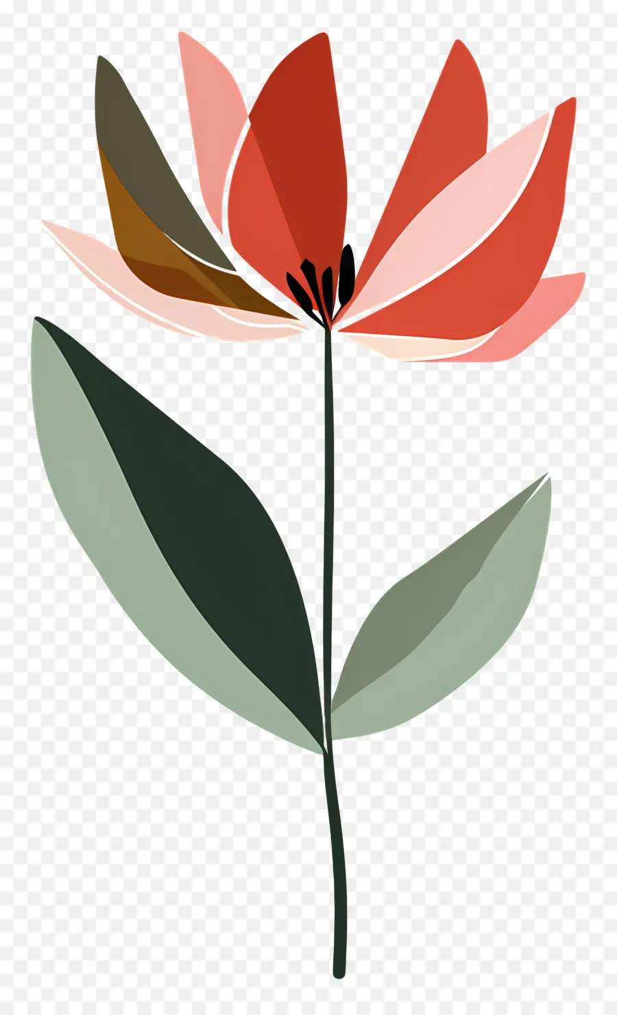 Flor única，Flor PNG