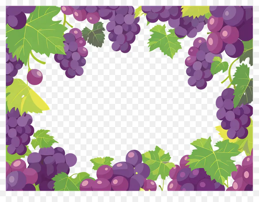 Borda De Uva，Quadro De Uvas PNG